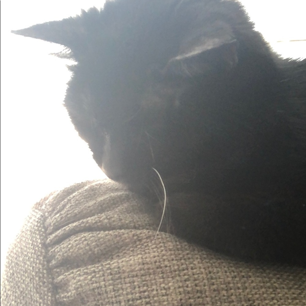 Meet your Posher, Christa